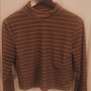 Long Sleeved Crop Top Turtle Neck